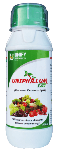 products-1
